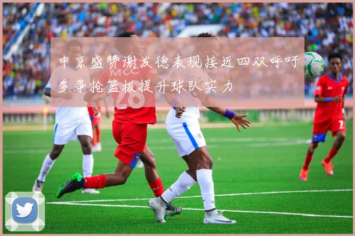 申京盛赞谢泼德表现接近四双呼吁多争抢篮板提升球队实力