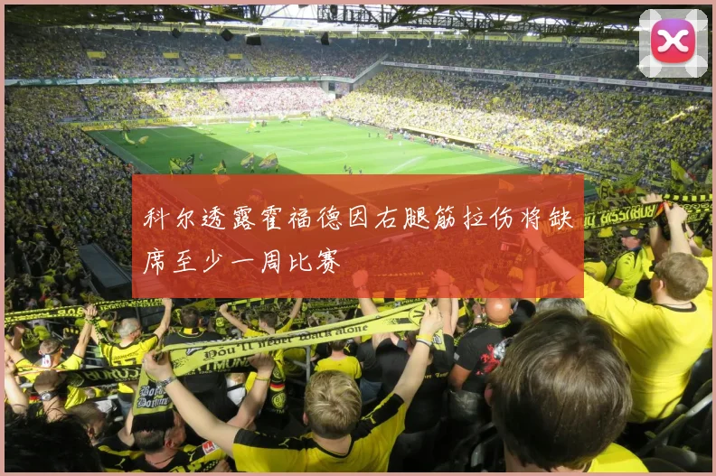 科尔透露霍福德因右腿筋拉伤将缺席至少一周比赛