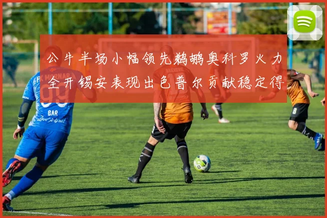 公牛半场小幅领先鹈鹕奥科罗火力全开锡安表现出色普尔贡献稳定得分